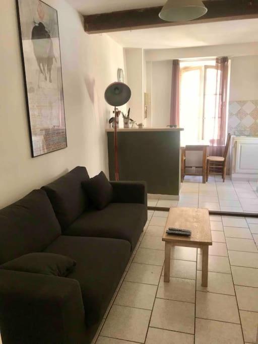 Appartement Face Aux Arenes Αρλ Εξωτερικό φωτογραφία